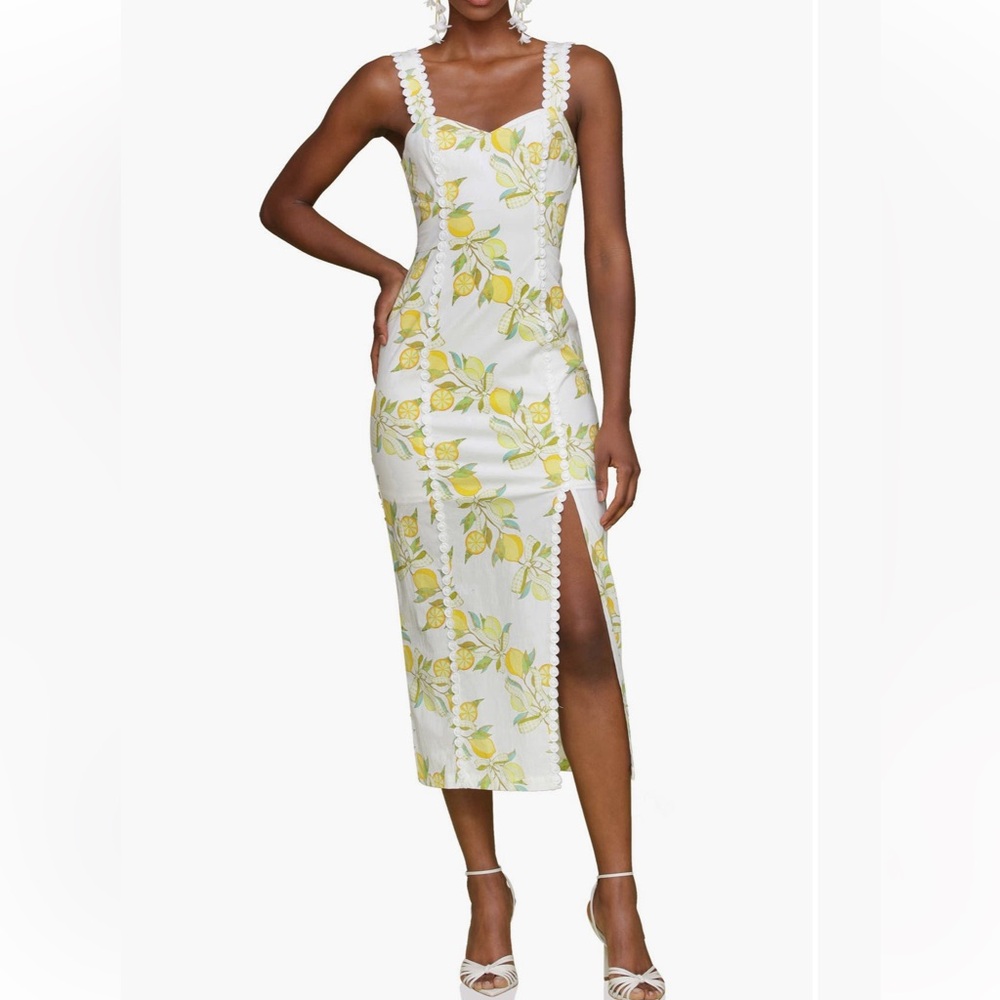 Avec Les Filles Lemon Print Stretch Cotton Dress